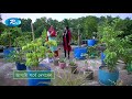 কৃষি ও কৃষ্টি দেখবেন আগামী বৃহস্পতিবার বিকেল ৫.৩০ মিনিটে