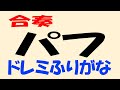 パフ リコーダー1