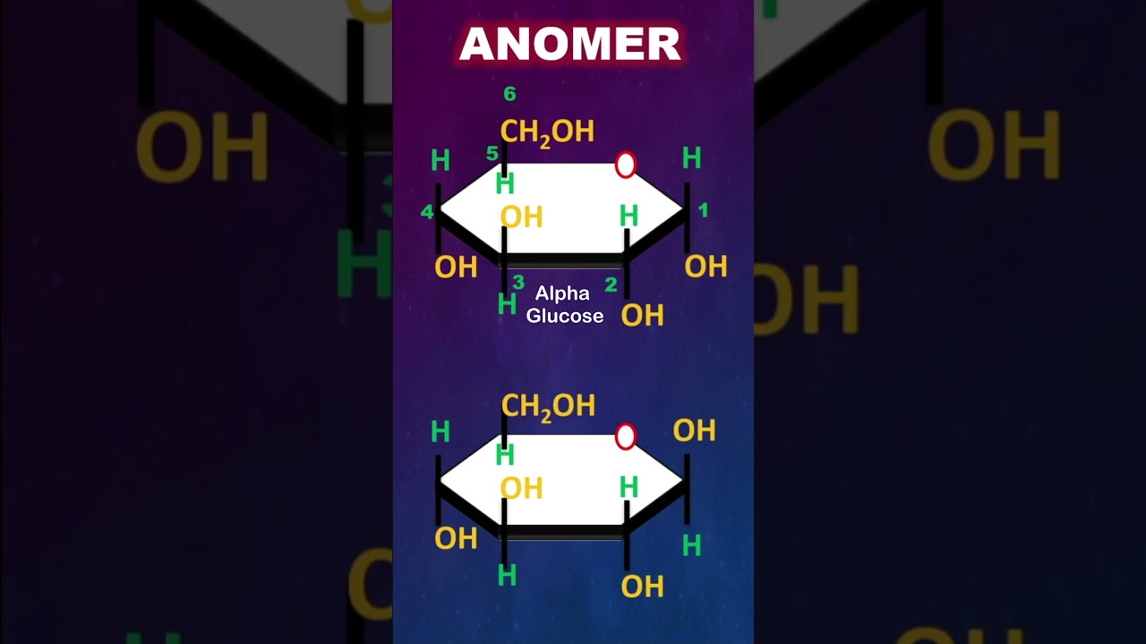 Anomers Explained in 30 Seconds | Alpha & Beta Glucose Trick | Bondbreaker03 