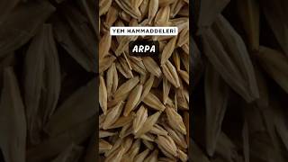 Arpa, hem büyükbaş hem de küçükbaş hayvanlarımızda beslenme açısından değerli bir yem hammaddesidir!