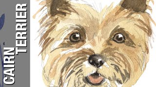 Cairn Terrier by Mo Nimo 15 views 3 years ago 21 seconds