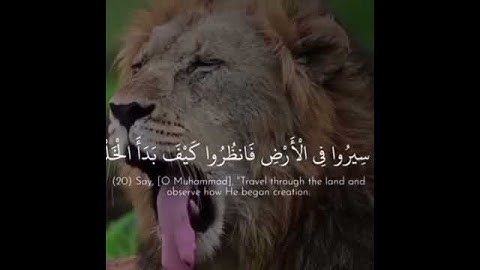 50 ثانية من الراحة النفسية صوت رائع ومريح . القرآن الكريم