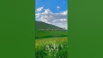 روائع التلاوات للقارئ عبدالرحمن مسعد