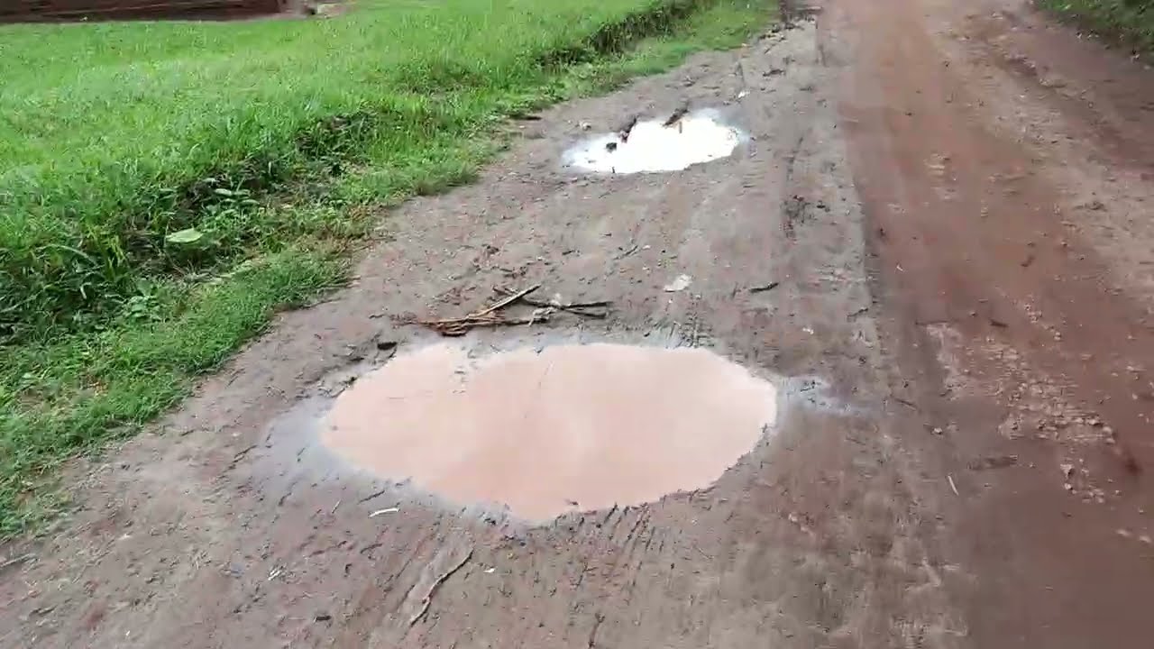 Light at dusk. Meeting a cheerful wheelchair bound friend 