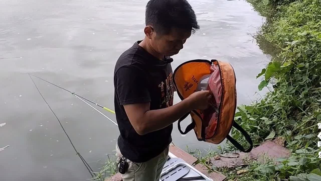 这钓位非常隐蔽,土鲮、麦鲮、鳊鱼超多,打龟是不可能的 - YouTube