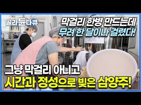 그냥 막걸리가 아니라 세 번에 걸쳐서 빚은 술 ‘삼양주’┃한 달이라는 시간과 정성이 들어가 더욱 맛있는 전통주┃양평에서 나는 친환경 재료로 만든 국화 막걸리┃고향민국┃#골라듄다큐