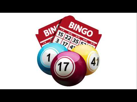 dr bingo videobingo slots