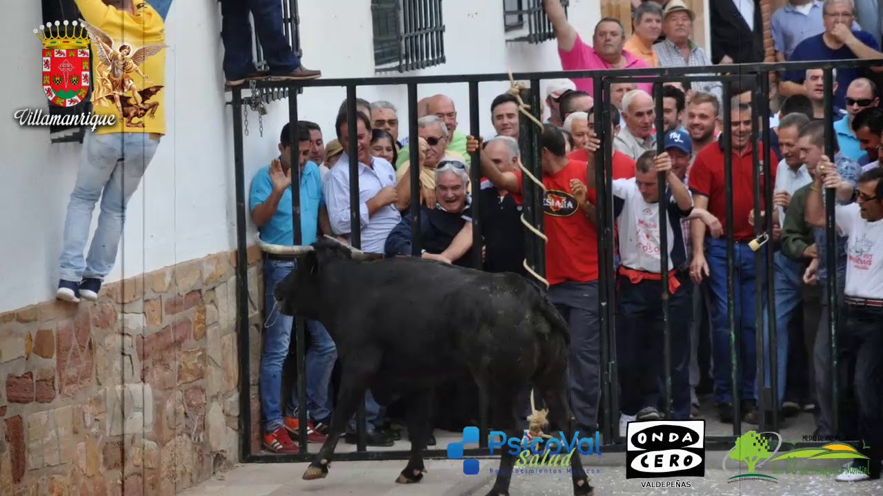 camera iphone 8 plus apk San Miguel 2019 - Villamanrique
