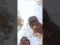 नवरात्रिअभ्यारण