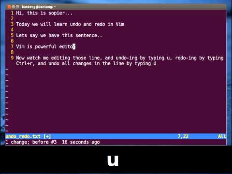 Vim Tutorial - Undo Redo Command