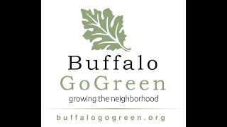 Buffalo Go Green to the Future