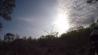 gopr0095