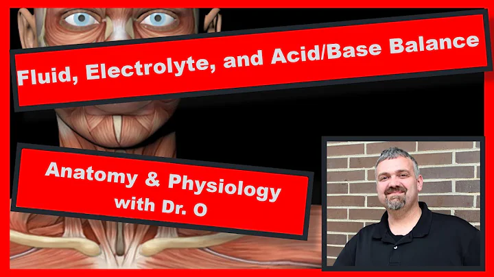 Fluid, Electrolyte, and Acid/Base Balance:  Anatomy and Physiology