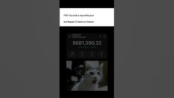 POV: You took a nap while your bot flipped 10 Gems on Solana