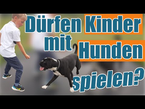 Video: Fragen Sie einen Experten - Hunde und Kinder