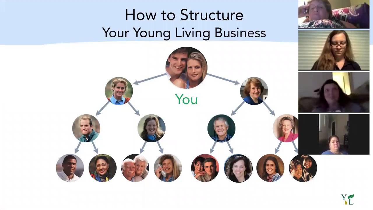 Young Living Compensation Plan YouTube