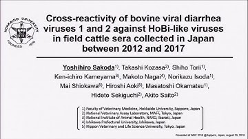 Cross-reactivity of bovine viral diarrhea viruses 1 and 2 against HoBi-like viruses...