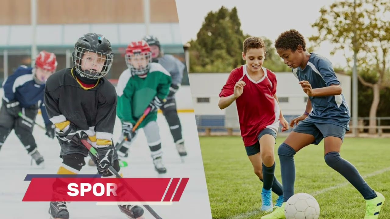 TV NEWS - activity ANJ - background