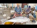 $70/ ₹5100 50KG TUNA FISH CUTTING VIDEOS | TUNA FISH CUTTING VIDEO | KASIMEDU | UK & SONS MARINE