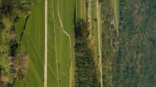 9Hab Vs Productivité
