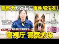 【1日密着】警察犬とともに事件解決を!警察犬係のしごと/警視庁