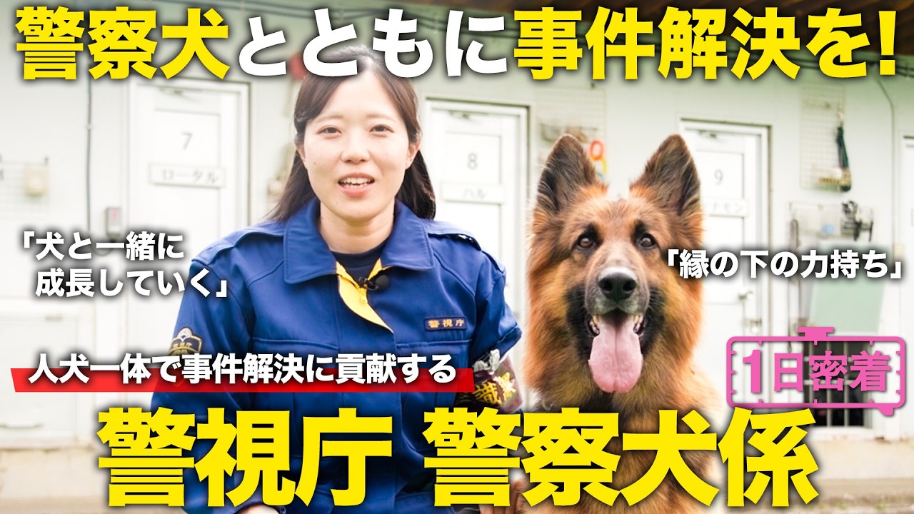 【1日密着】警察犬とともに事件解決を!警察犬係のしごと/警視庁