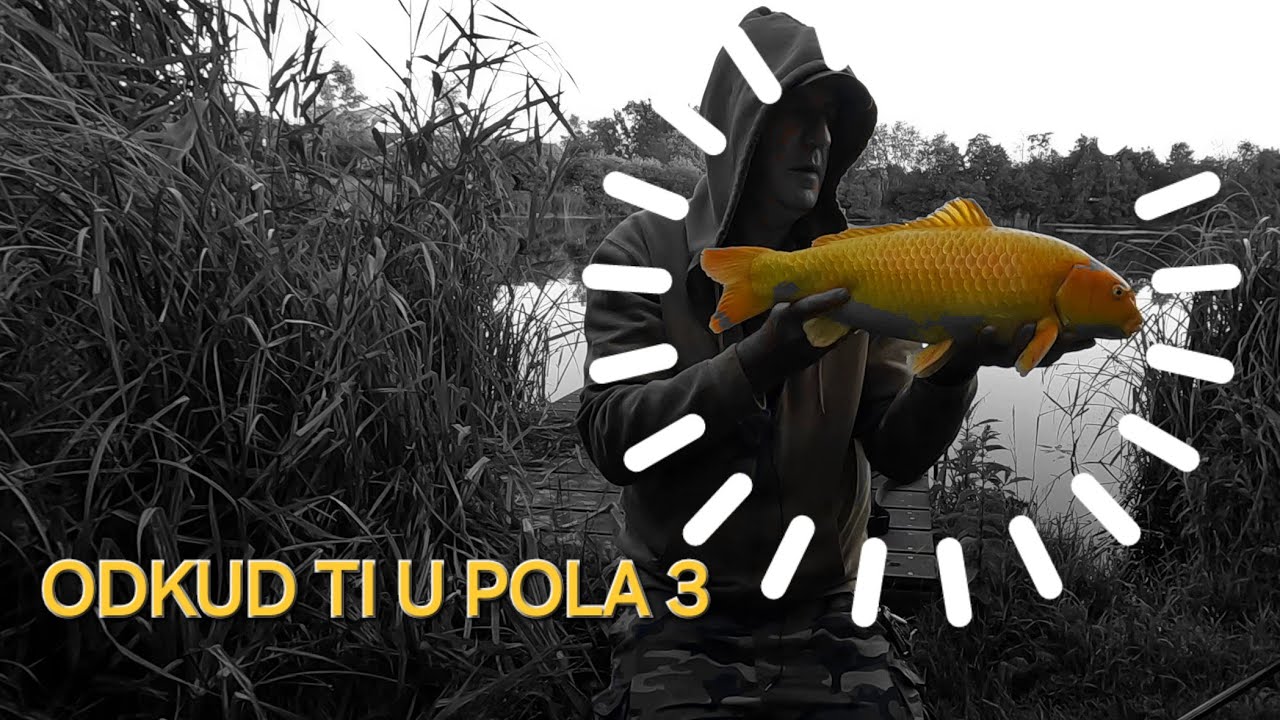 STARA VODA. NOVI STANOVNIK ..... !?