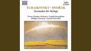 Serenade for String Orchestra in C Major, Op. 48, TH 48: II. Walzer