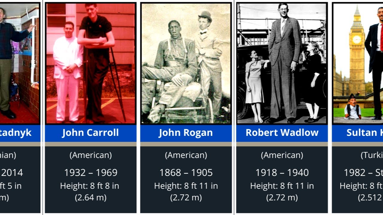 Comparison: Human Height Tallest People In History 