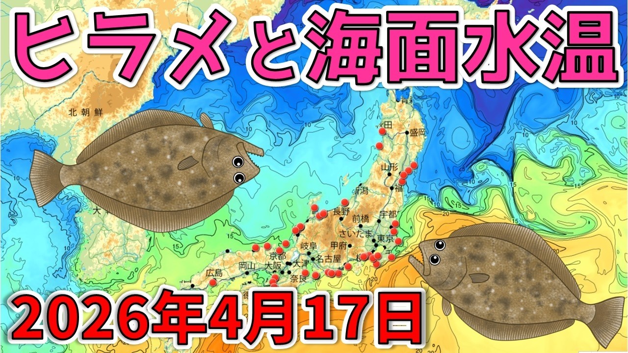 April 17, 2026] Flounder: 