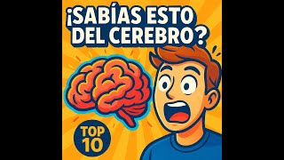 Lo Más Top 10: Curiosidades del Cerebro Humano que NO sabías