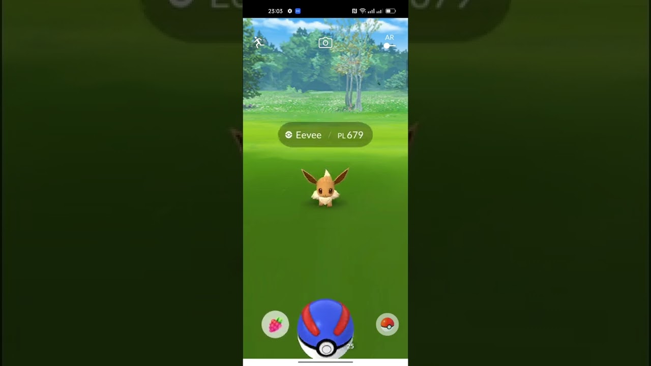 *Fast Catch* Tutorial Pokemon GO