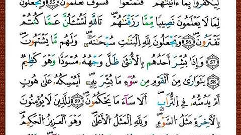 ختمة مصحف التجويد برواية قالون الصفحة رقم 273