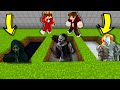 NÃO ENTRE NESSES BURACOS ASSUSTADORES NO MINECRAFT! (Pode ser assustador)