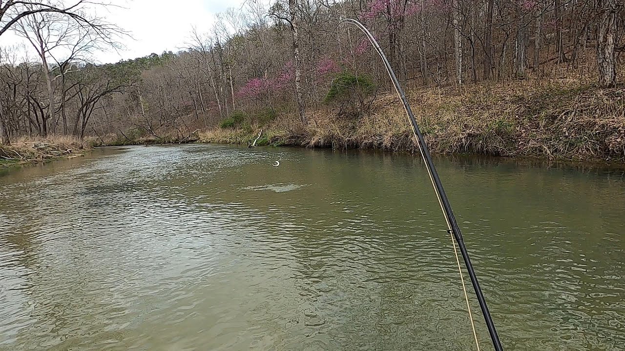 Catching our limit at Montauk