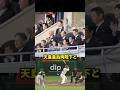 60年ぶりの歴史的出来事 #野球 #wbc