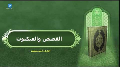 ما تيسر من سورة القصص والعنكبوت - من صلاة التراويح