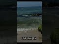 المنشد علاء ناجي في أبحر الأحزان فراق الأحبة
