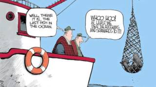 The Atlantic Cod