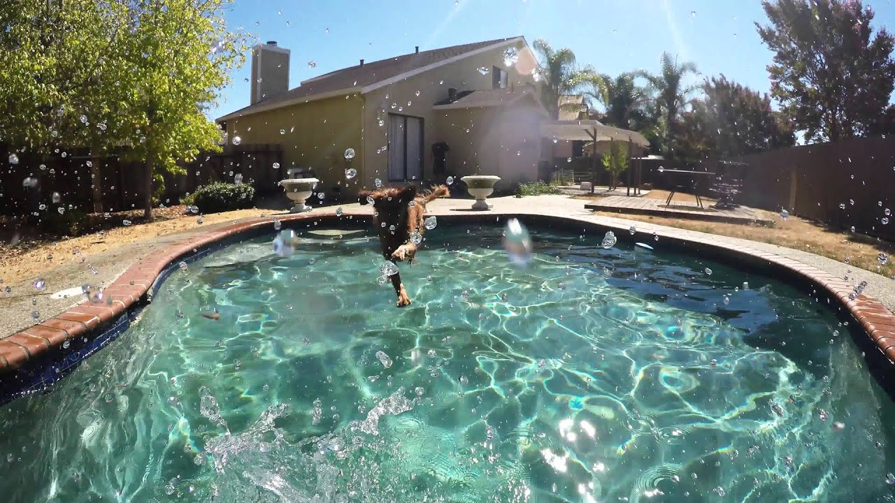 19 Sep 15 Diving Dex