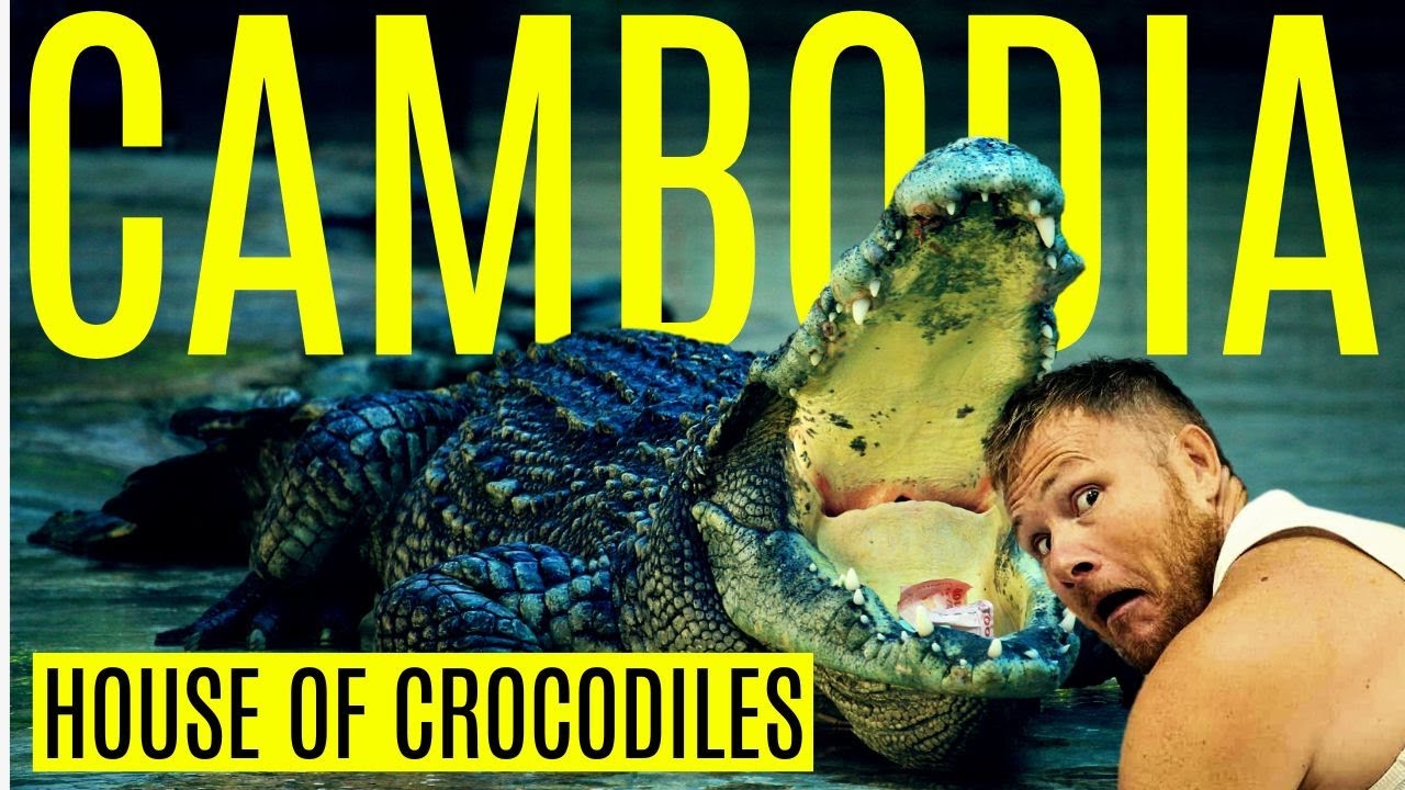 CRAZY CROCODILE FARM TOUR (កសិដ្ឋានចិញ្ចឹមក្រពើ) in SIEM REAP, CAMBODIA : SKIN & MEAT TRADE