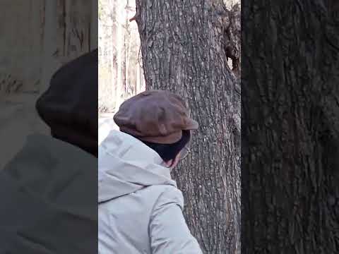 Встреча с чудом