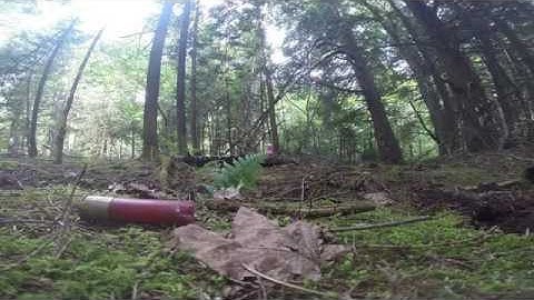 gryphon energetics thundershot HD