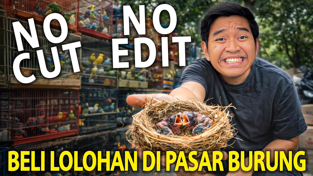 BELI LOLOHAN DI PASAR BURUNG SUKAHAJI! NO CUT NO EDIT!