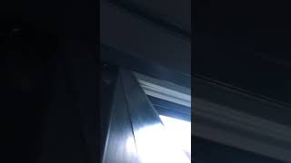 IMG 3226