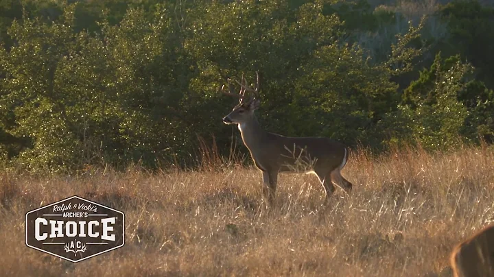 Archer's Choice with Ralph and Vicki Buck Montage from last fall in MT, KY and TX