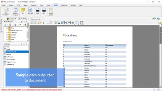 Output Entity Sample Data to Document Output Entity Sample Data to Document