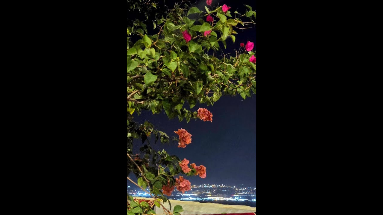 الفنان ابوسحر ** بديت الطويل النايف العالي المنزاح