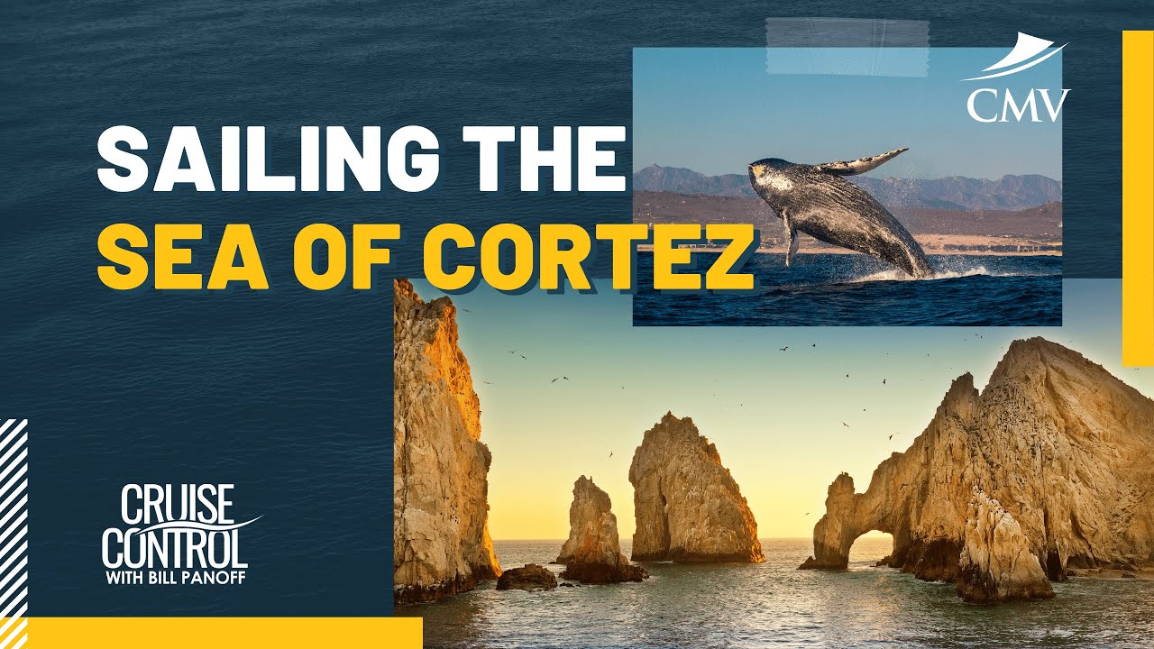 sea of cortez cruises from rocky point