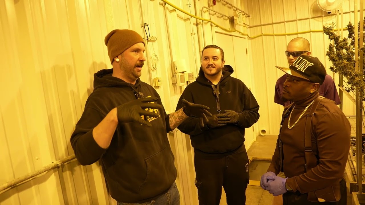 За кулисами True North Collective: производство одних из лучших жевательных конфет в штате | KOBTV